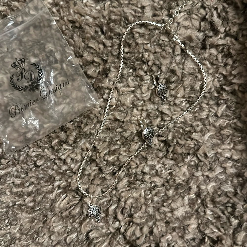 NWT Premier Design Necklace and Earrings